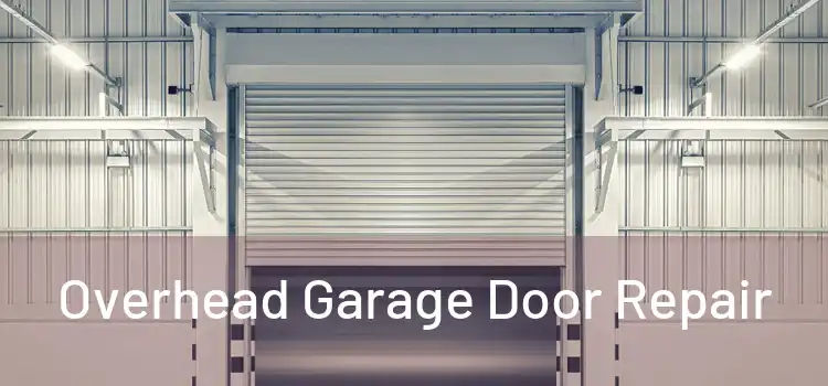  Overhead Garage Door Repair 