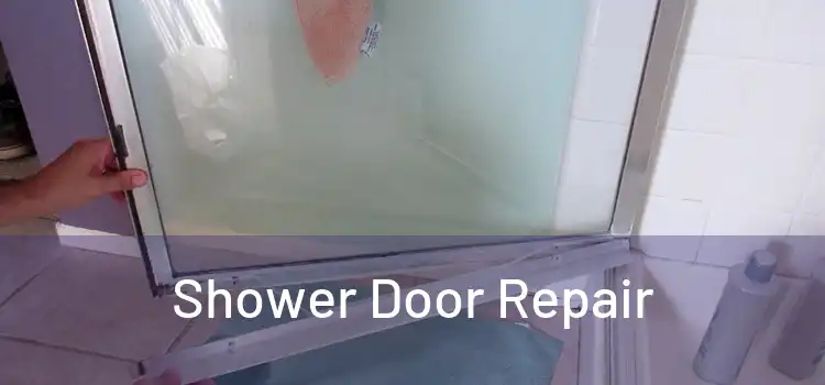  Shower Door Repair 
